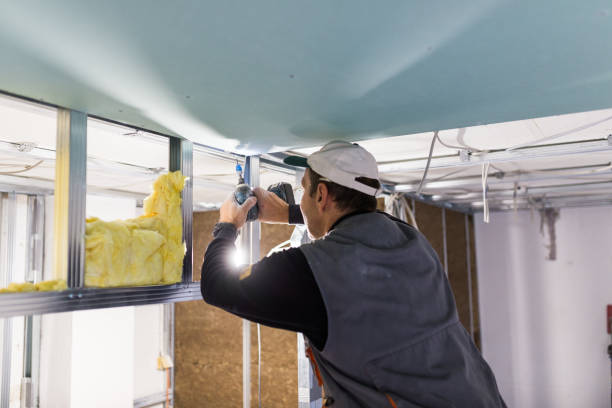 Best Wall Insulation Contractor  in Scottsville, NY