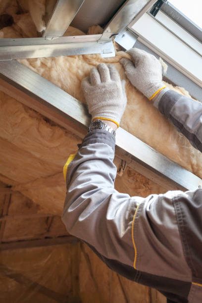 Best Attic Insulation Installation  in Scottsville, NY