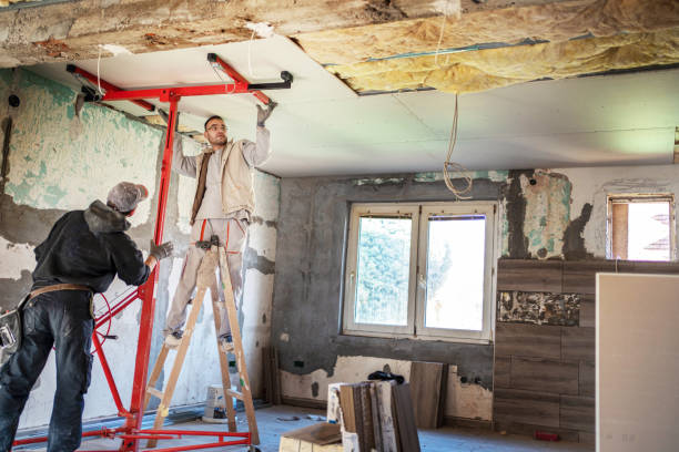 Best Cellulose Insulation  in Scottsville, NY