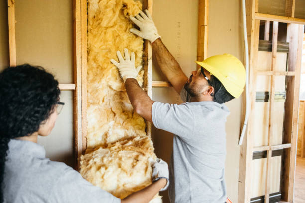 Best Residential Insulation Services  in Scottsville, NY
