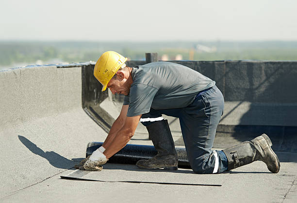 Best Fiberglass Insulation  in Scottsville, NY