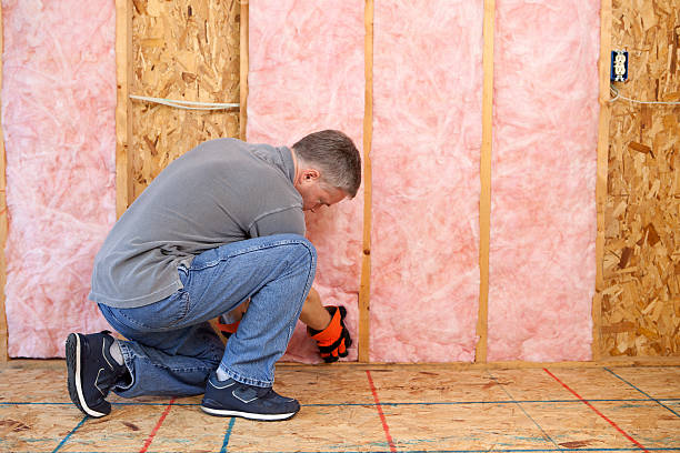 Insulation Inspection Services in Scottsville, NY