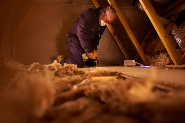 Best Home Insulation Services  in Scottsville, NY