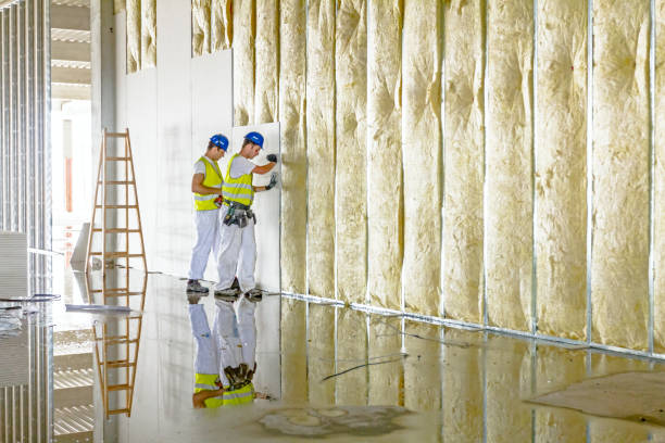 Best Local Insulation Services  in Scottsville, NY